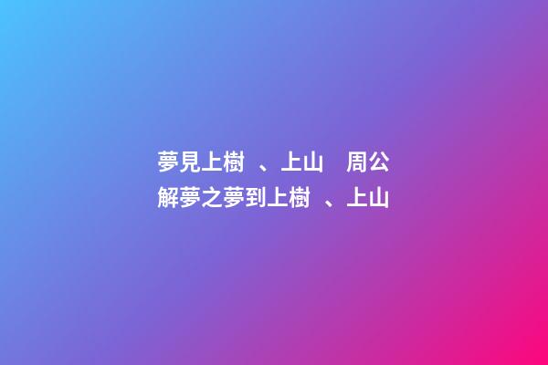 夢見上樹、上山　周公解夢之夢到上樹、上山